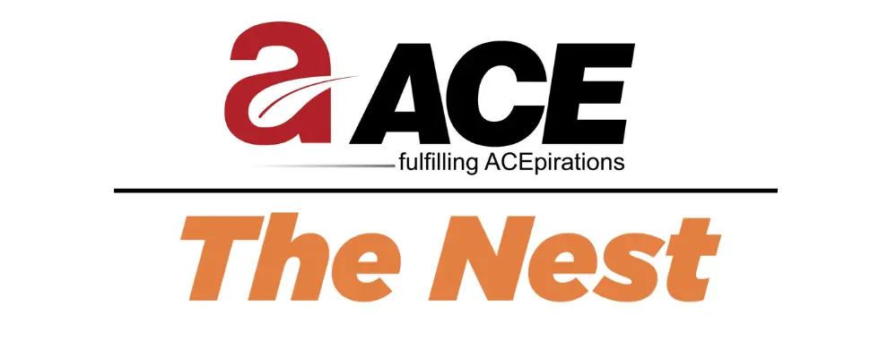 ACE STUDIO “The Nest Logo - ACE Group